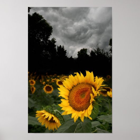 威厳がある嵐 ポスター (正面)