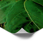 威厳がある嵐、ポスター ポスター (角)