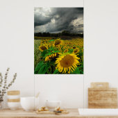 威厳がある嵐、ポスター ポスター (キッチン)