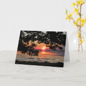 威厳がある日の出はネルソンパーク カード (黄色い花)