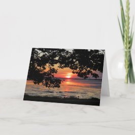 威厳がある日の出はネルソンパーク カード