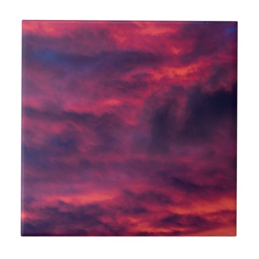 威厳がある赤 タイル (正面)