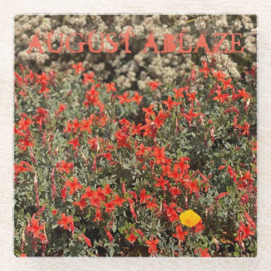 威厳がある ガラスコースター (正面)