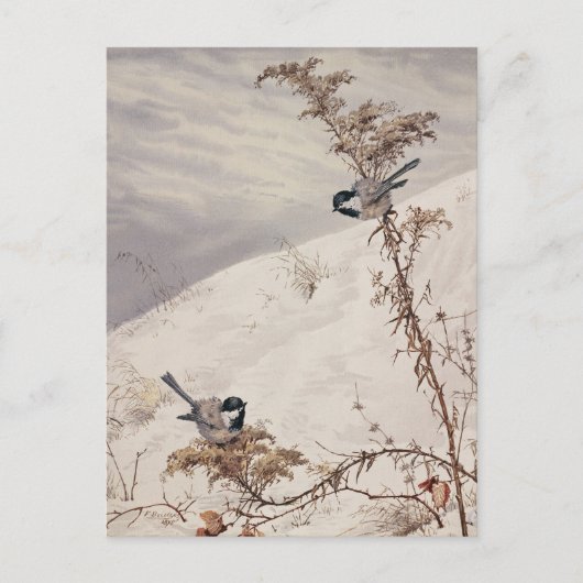 威厳がある | フィデリアブリッジ ポストカード (正面)