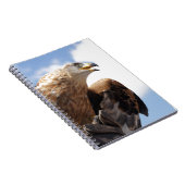 威厳のあるなイヌワシ ノートブック (右側)