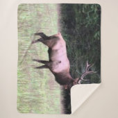 威厳のあるなオオシカ シェルパブランケット (正面)