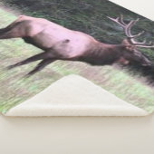 威厳のあるなオオシカ シェルパブランケット (3/4)