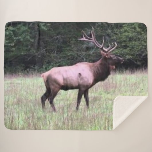 威厳のあるなオオシカ シェルパブランケット (正面(横))