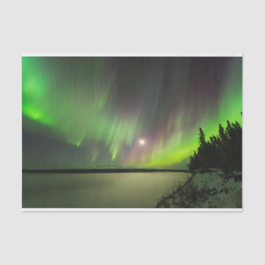 威厳のあるなオーロラ 薄葉紙 (正面)