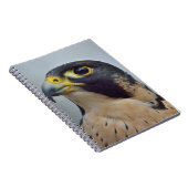 威厳のあるなハヤブサ ノートブック (右側)