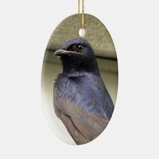 威厳のあるなムラサキツバメ セラミックオーナメント (右)