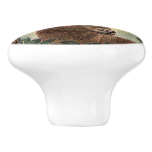 威厳のあるな(雄ジカの)枝角を搭載する美しい雄鹿のシカ セラミックノブ (側面)