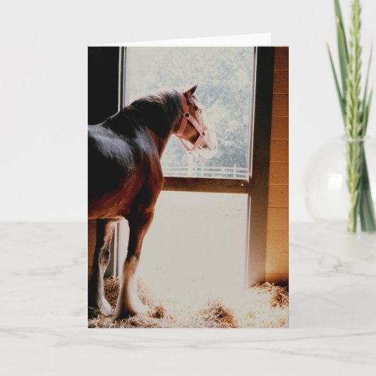 威厳のあるなClydesdale カード (正面)