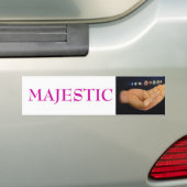 威厳のあるなP1000304 バンパーステッカー (車上)