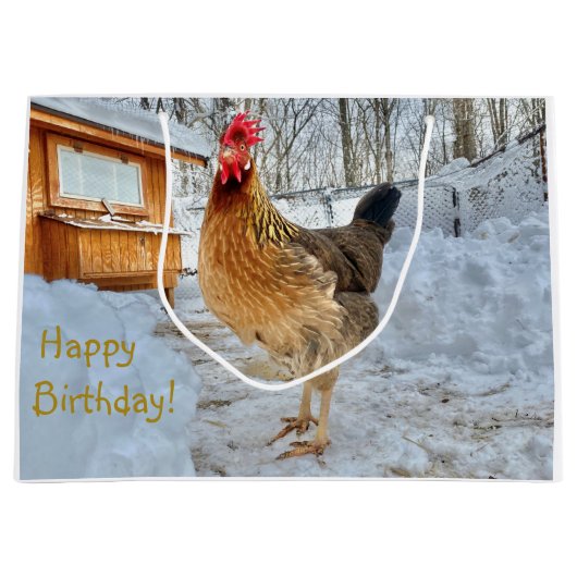 威厳のあるチキン抱き枕 ラージペーパーバッグ (正面)