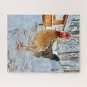 威厳のあるチキン ジグソーパズル (横)