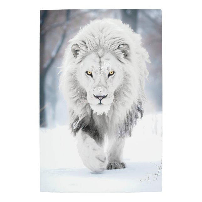 威厳のあるホワイトライオンインウィンターワンダーランドデザイン メタルプリント (正面)