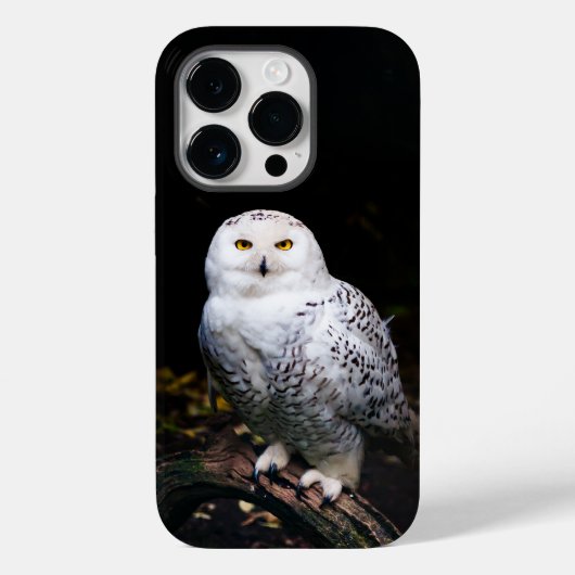 威厳のある冬のシロフクロウ Case-Mate iPhoneケース (裏面)