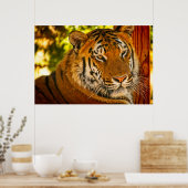 威厳のある顔 ポスター (キッチン)