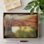 威厳のある顔 薄葉紙 (ギフト)