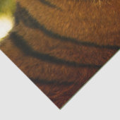 威厳のある顔 薄葉紙 (詳細)