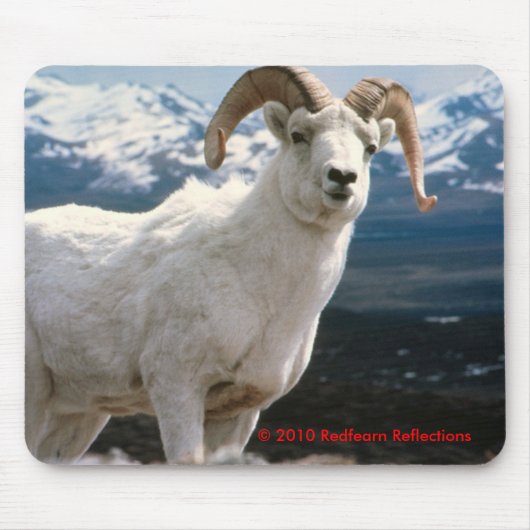 威厳のある マウスパッド (正面)