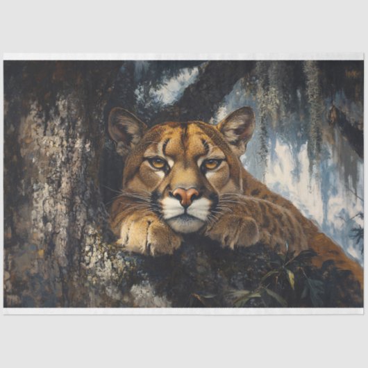 威厳のあるCougar in Forest Decompage 薄葉紙 (正面)