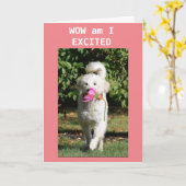 娘が急いでカード得に13を回す カード (黄色い花)