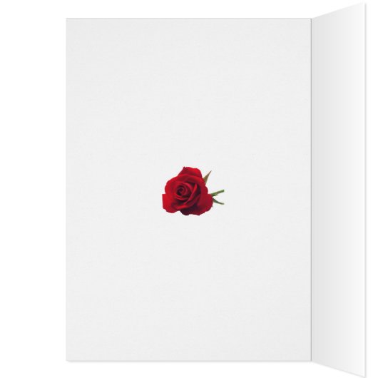 娘のように私に誕生日ピンクデイジー (内側 (左))