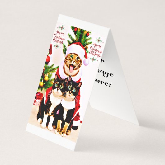 娘のフェスティバルメッセージメリー (正面)