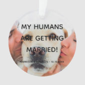 婚約カスタム告知フォトドッグカップル オーナメント (正面)