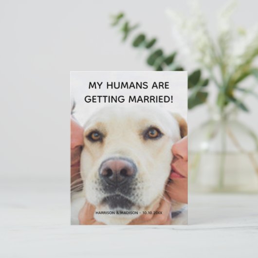 婚約カスタム告知フォトドッグ葉書 シーズンポストカード (スタンド正面)