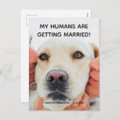 婚約カスタム告知フォトドッグ葉書 シーズンポストカード (正面/裏面)