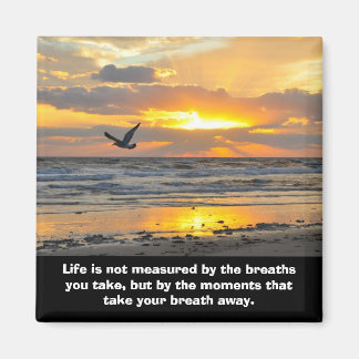 婚約サンライズマグネットデイトナビーチ, FL マグネット