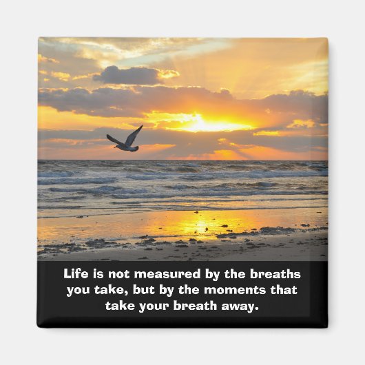 婚約サンライズマグネットデイトナビーチ, FL マグネット (正面)