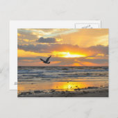 婚約提案日の出オンビーチはがき ポストカード (正面/裏面)