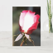 婚約 カード (正面)