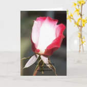 婚約 カード (黄色い花)