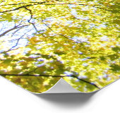 婦人が踊る ポスター (角)