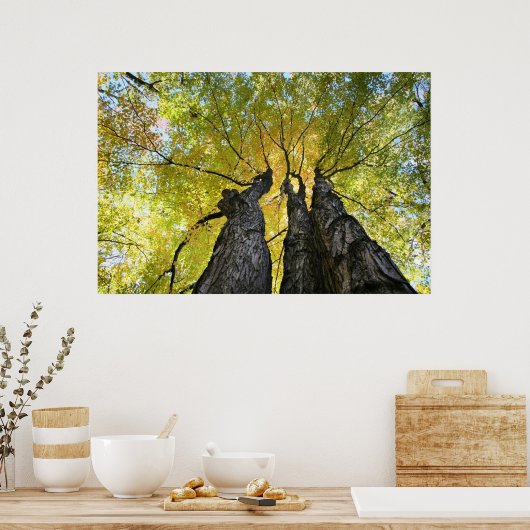 婦人が踊る ポスター (キッチン)