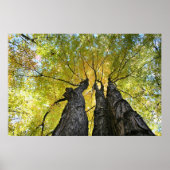 婦人が踊る ポスター (正面)