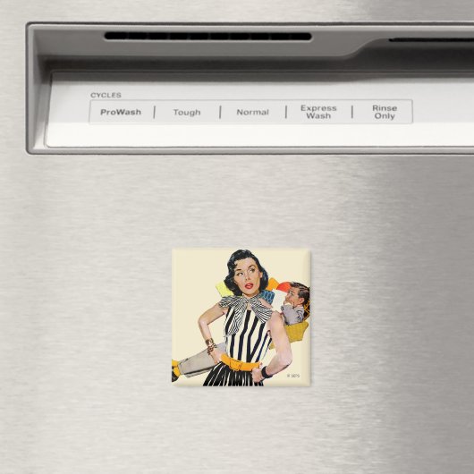 婦人は侮辱された マグネット (インサイチュ (食洗機))