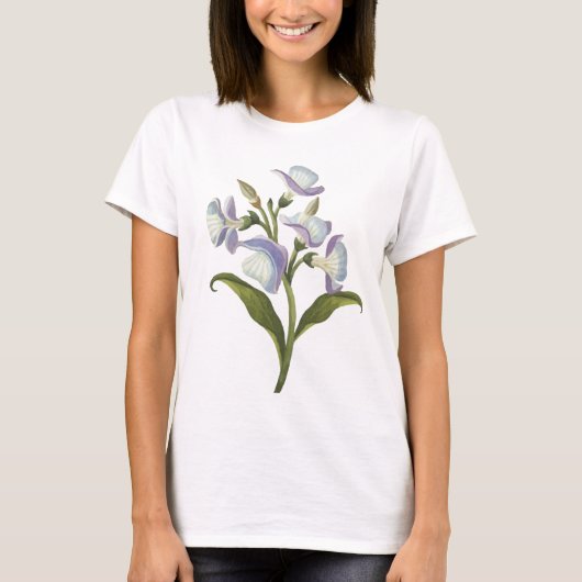 婦人基本Tシャツ Tシャツ (正面)