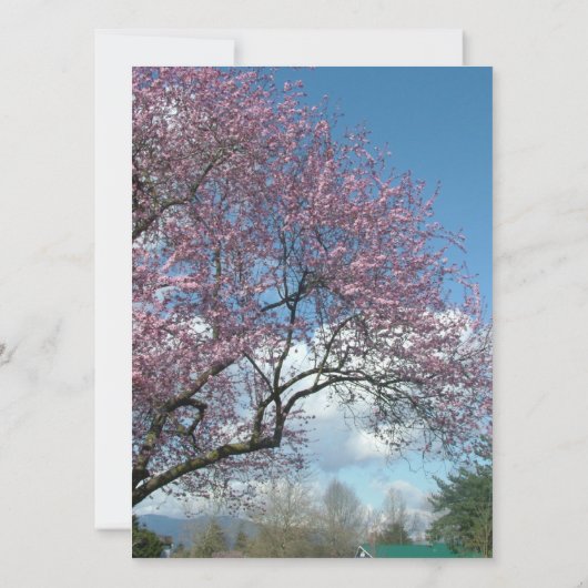 嫁結婚嫁の招待さくらんぼ 招待状 (裏面)