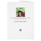 嫉妬：美しい赤毛オランウータン (裏面)