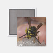 嫌なやつ マグネット (正面/裏面)