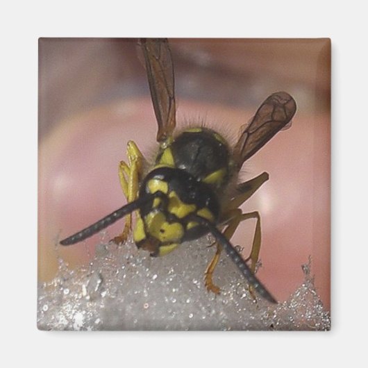 嫌なやつ マグネット (正面)