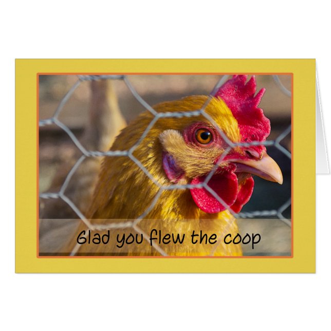 嬉しい塀の鶏おりをよく得ます飛ばしました (正面横)