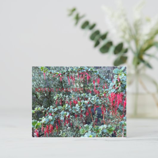 嬉しい1月！ ポストカード (スタンド正面)