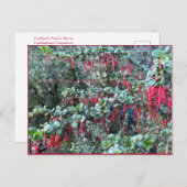 嬉しい1月！ポストカード ポストカード (正面/裏面)